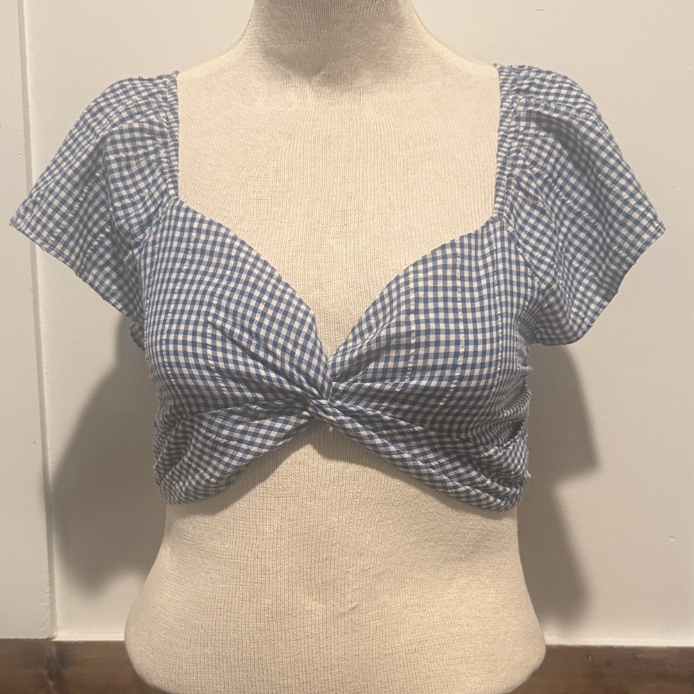 American Eagle Outfitters Blue Checkered Crop Top